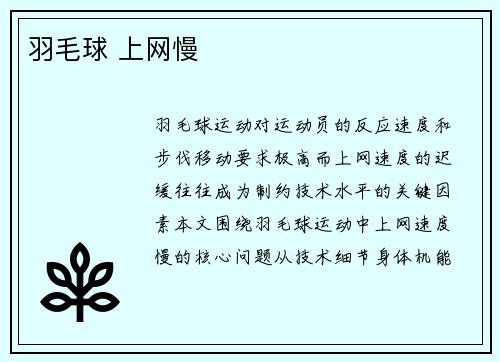 羽毛球 上网慢